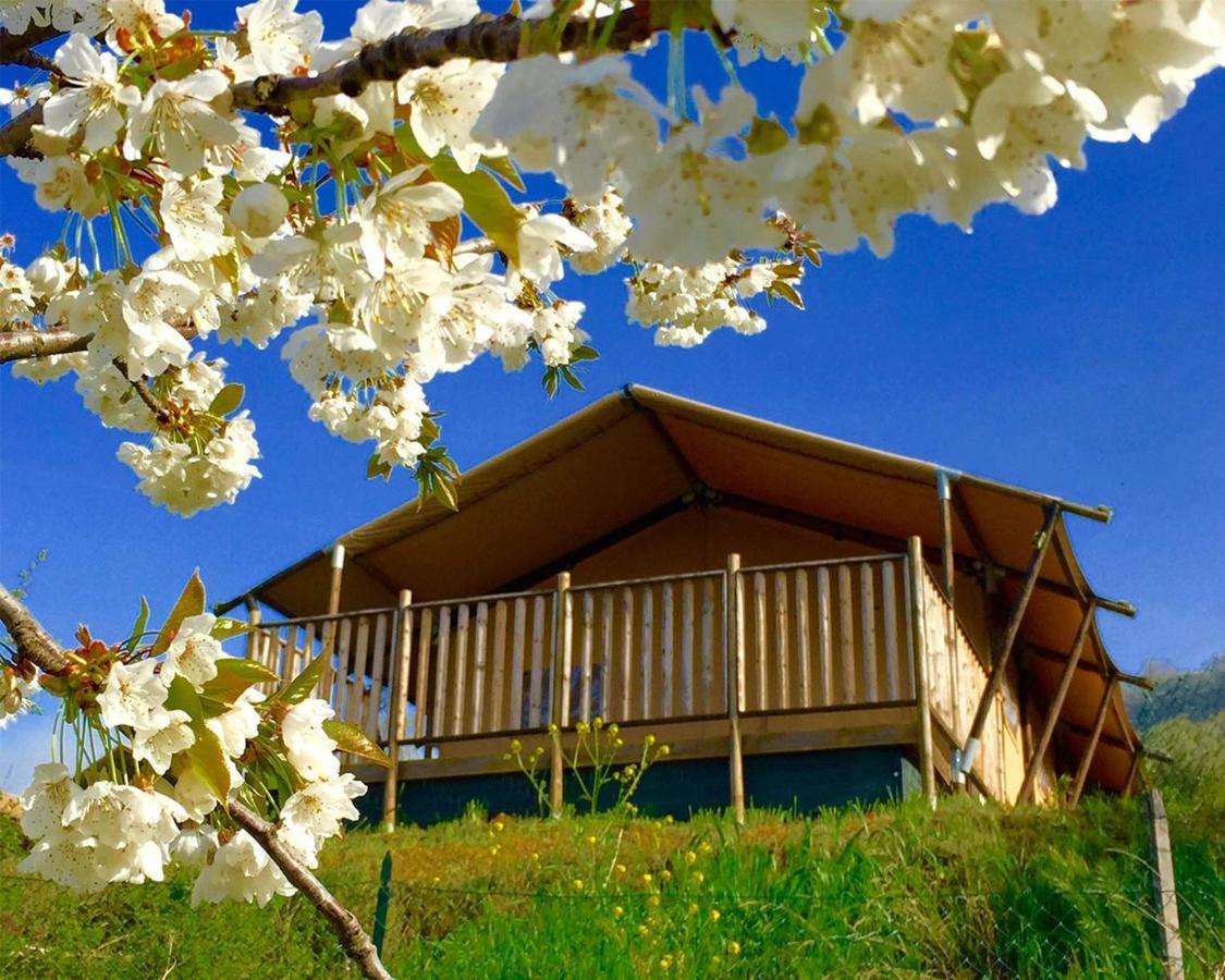 Villaladiva Boutique Glamping Massignano Exteriér fotografie