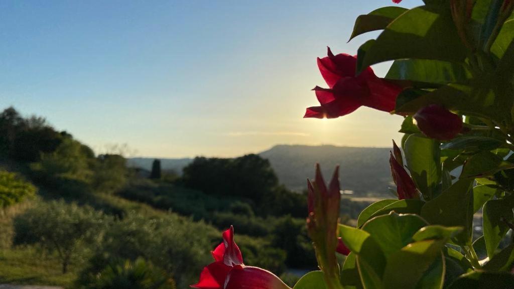 Villaladiva Boutique Glamping Massignano Exteriér fotografie